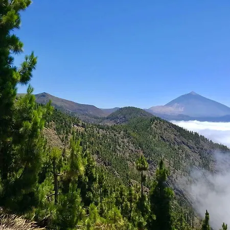 Top View Acantilados De Los Gigantes Acantilado de los Gigantes Zewnętrze zdjęcie